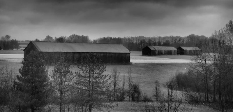 Foundation Cigars' Connecticut Field Office